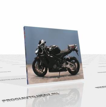 Руководство по установке амортизатора от Honda CBR600 на Honda CBR250